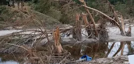 ABD'de Sel Felaketi: Büyük Kanyon'da 20'den Fazla Kişi Kayıp