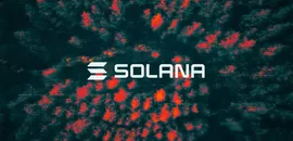 Solana Treasury Firm Skyai Keeps Board After Shareholder Protest, Loses Equity Plan Vote