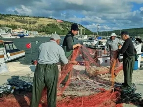 Çanakkaleli balıkçının lüfer için attığı ağlara 1000 palamut takıldı