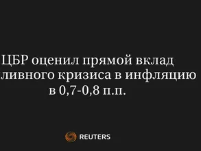 ЦБР оценил прямой вклад топливного кризиса в инфляцию в 0,7-0,8 п.п.