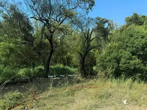Fethiye'deki orman yangını hızlı müdahaleyle büyümeden söndürüldü Fethiye'deki orman yangını hızlı müdahaleyle büyümeden söndürüldü