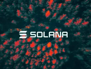Solana Treasury Firm Skyai Keeps Board After Shareholder Protest, Loses Equity Plan Vote