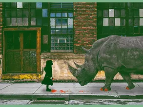 2024'te Öne Çıkan Gri Gergedan (Gray Rhino) Riskleri ve Başarı İçin Önlemler