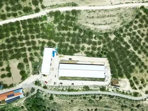 YENİ NESİL ÇİFTÇİLER - Dede mirası çiftçiliği devlet destekleriyle sürdürüyor