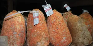 6 ay yerin altında bekliyor, rengi değişince kilosu 1700 liraya çıkıyor