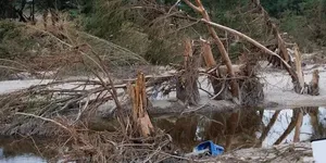 ABD'de sel felaketi: Büyük Kanyon'da 20'den fazla kişi kayıp