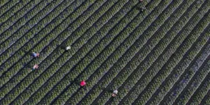 Key Data Missing for Half of US Child Labor Deaths, Official Report Finds
