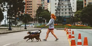 Köpek Sahibi Olmanın Vergi Faturası: Bazı Irklarda Tutar Katlanıyor