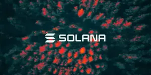 Solana Treasury Firm Skyai Keeps Board After Shareholder Protest, Loses Equity Plan Vote