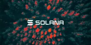 Solana Treasury Firm Skyai Keeps Board After Shareholder Protest, Loses Equity Plan Vote