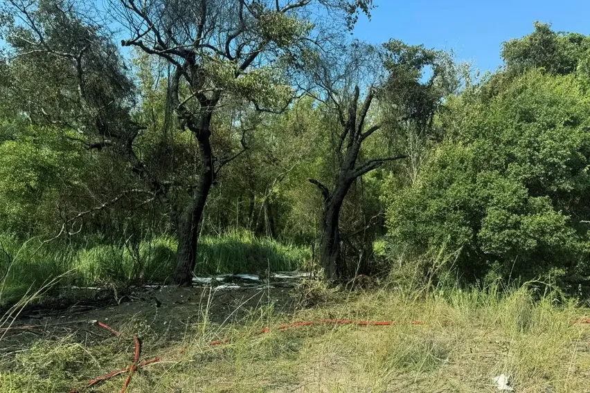 Fethiye'deki orman yangını hızlı müdahaleyle büyümeden söndürüldü Fethiye'deki orman yangını hızlı müdahaleyle büyümeden söndürüldü