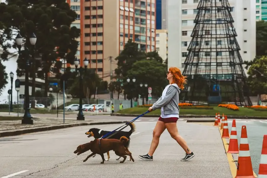Köpek Sahibi Olmanın Vergi Faturası: Bazı Irklarda Tutar Katlanıyor