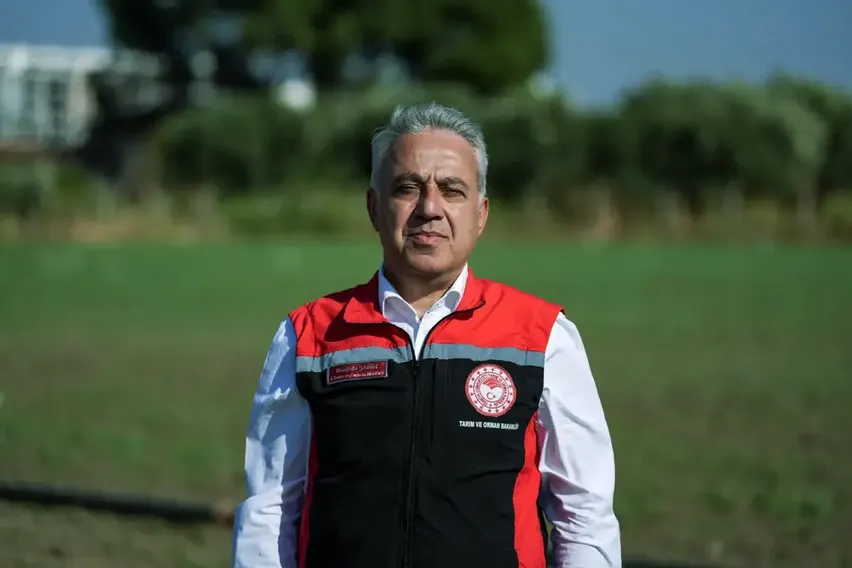 Kuraklık İzmir'deki besicileri sorgum sudan otuna yöneltti Kuraklık İzmir'deki besicileri sorgum sudan otuna yöneltti