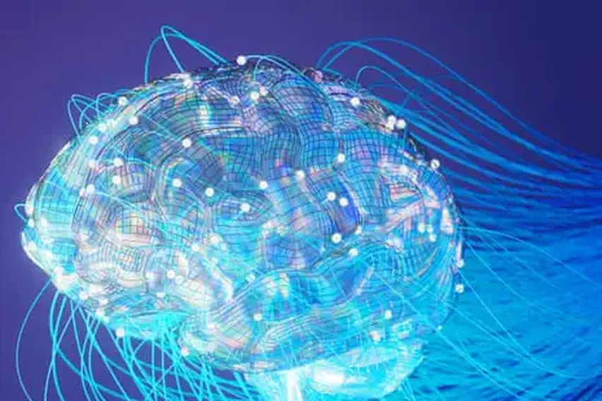 We All Know a Lack of Exercise Is Bad for Our Bodies. So What Is Relying on AI Doing to Our Brains? | Devi Sridhar
