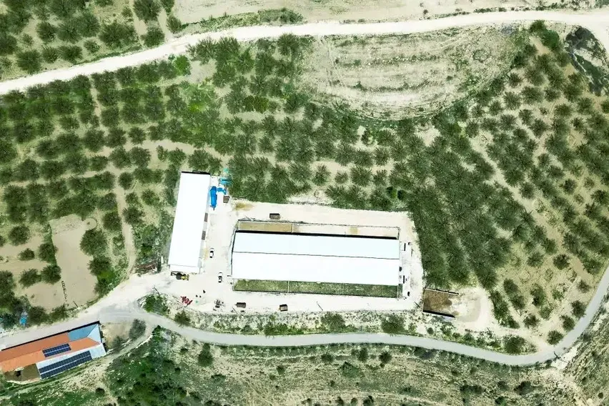 YENİ NESİL ÇİFTÇİLER - Dede mirası çiftçiliği devlet destekleriyle sürdürüyor YENİ NESİL ÇİFTÇİLER - Dede mirası çiftçiliği devlet destekleriyle sürdürüyor